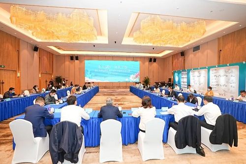 昆山旅游度假区召开东方湖区项目策划咨询会，推动旅游开发新篇章