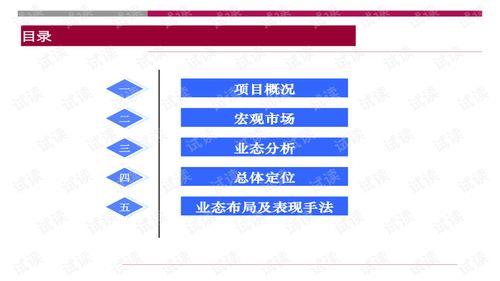 世联重庆大型旅游地产项目策划咨询报告