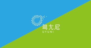 乌尤尼私人定制旅游品牌形象设计与项目策划咨询
