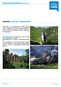 旅游项目策划与旅游开发项目策划咨询 从概念到落地的全程蓝图